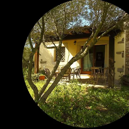 Lo Stazzetto Degli Ulivi Porto Rotondo